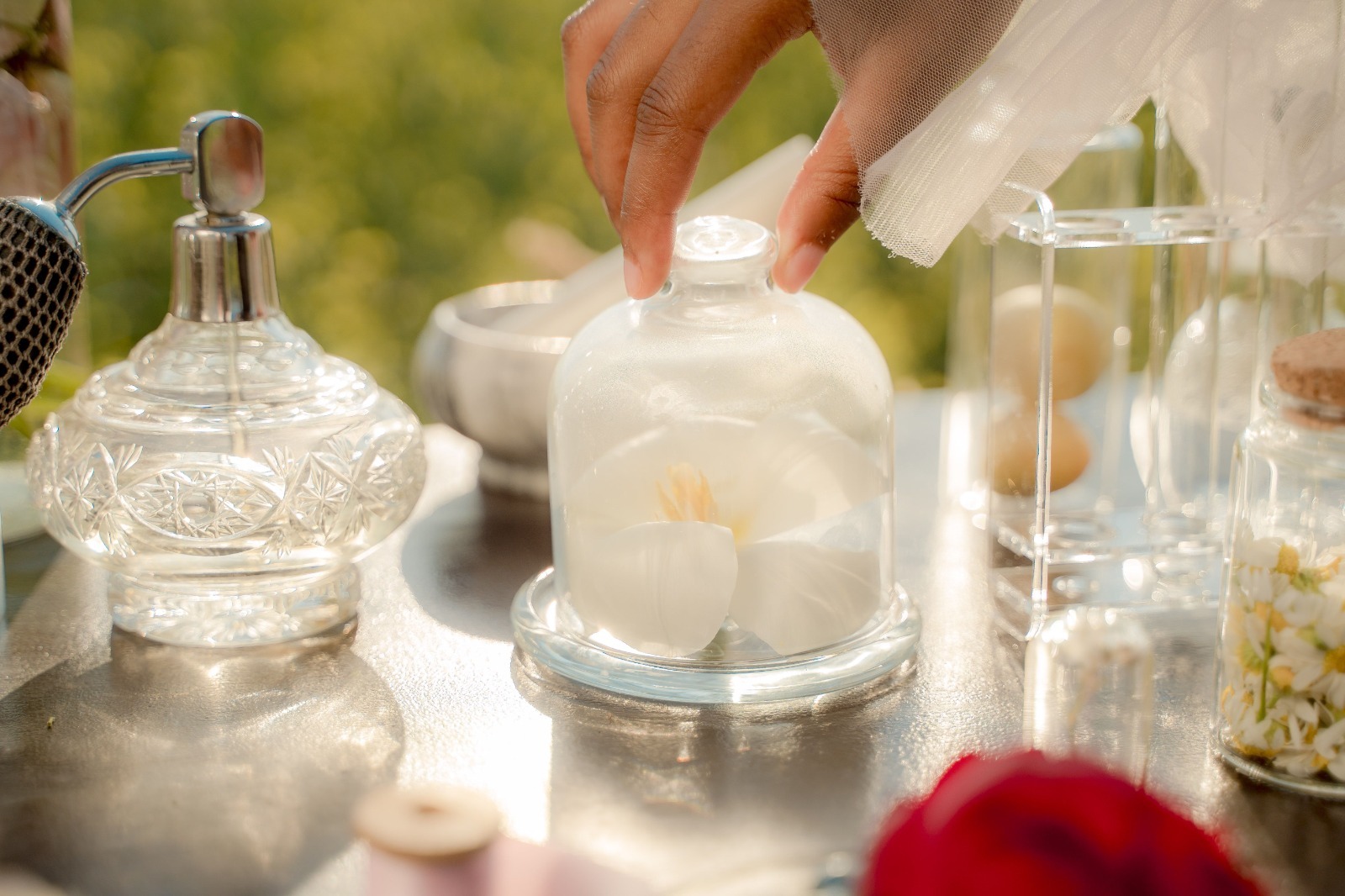 Vive la antesala de AromaFest