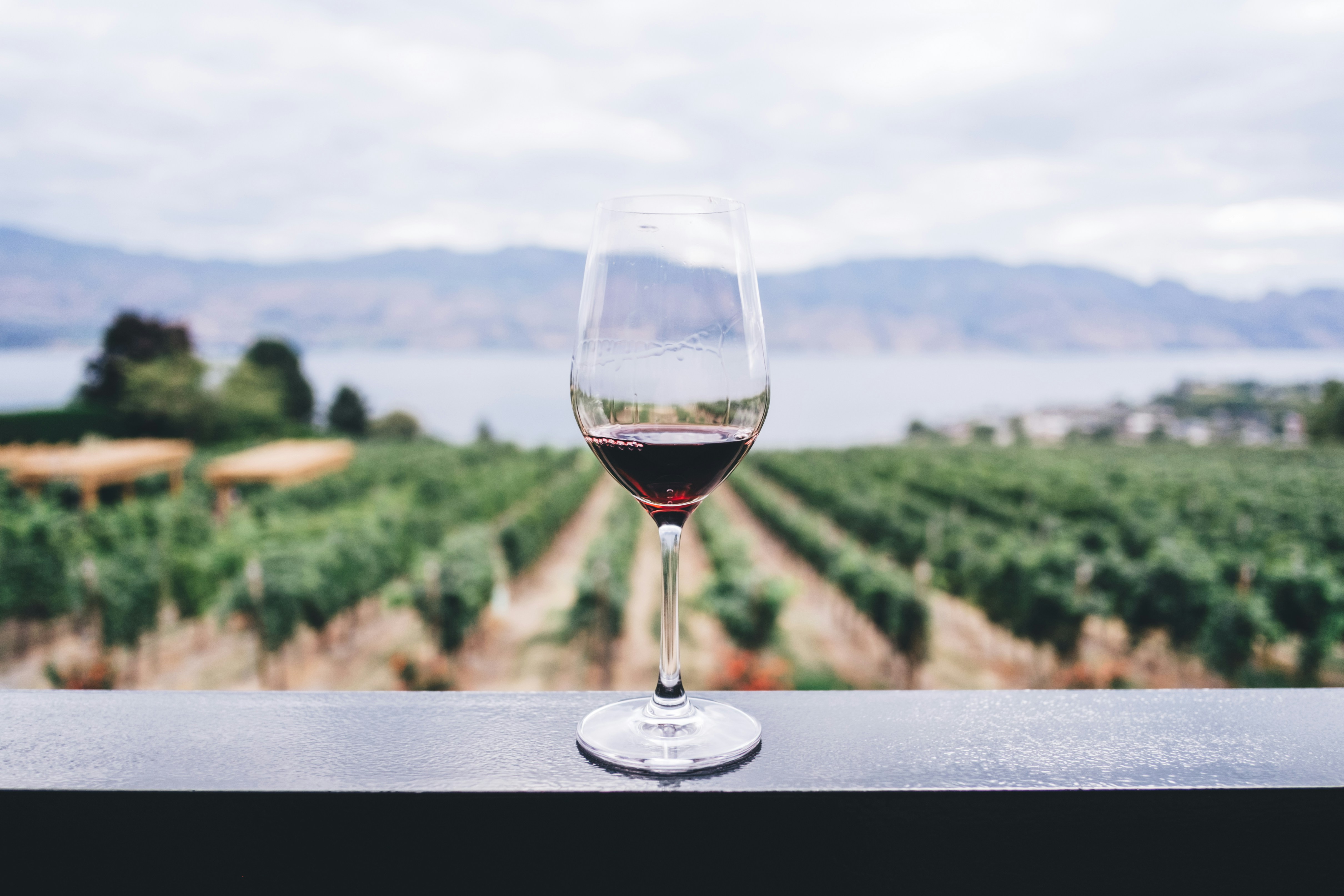 Día del Vino 2026: los mejores panoramas para brindar