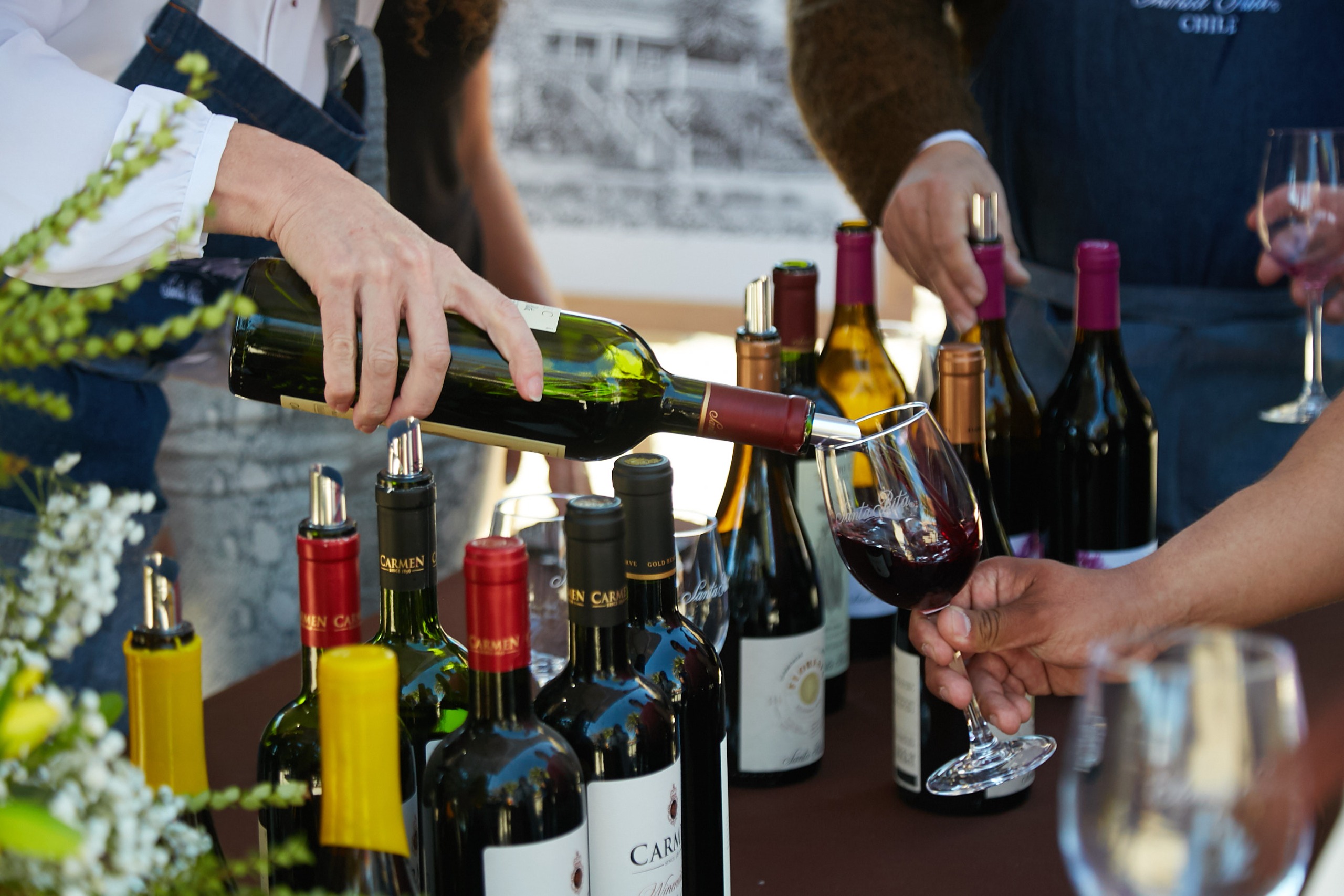 Viña Santa Rita adelanta celebración del día del vino