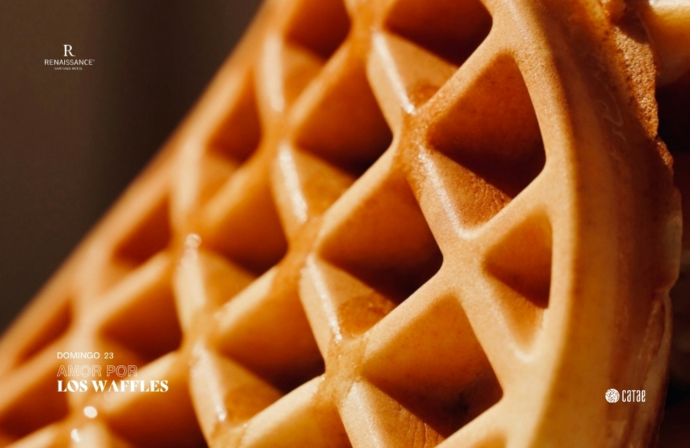 "Amor por los Waffles"
