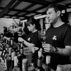 Colchagua llega a Santiago: Barra Premium se toma el MUT